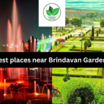 Best places near Brindavan Gardens