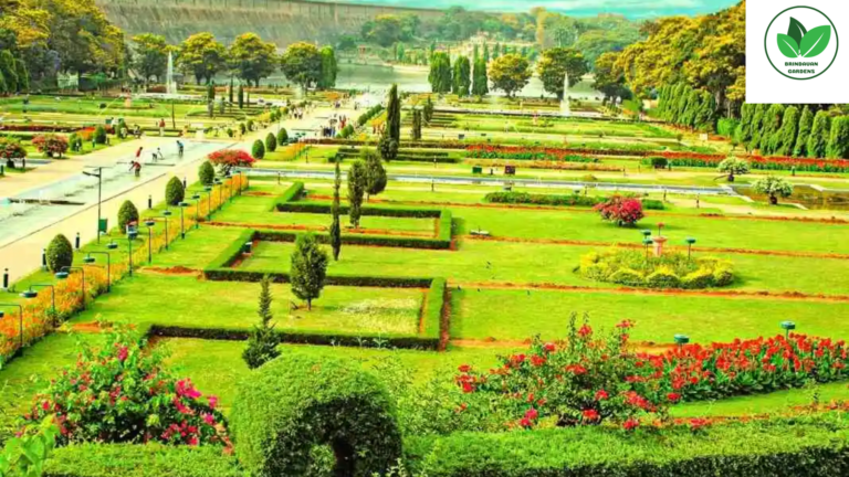 brindavan gardens ticket price